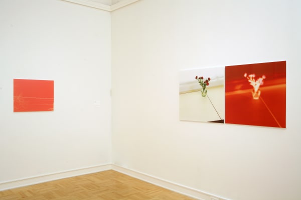 Uta Barth photography series at Henry Art Gallery