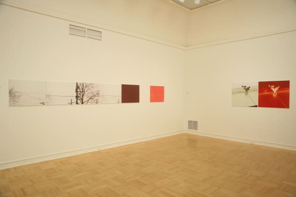 Uta Barth photography series at Henry Art Gallery