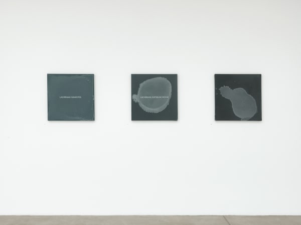 salt painting installation at Pulitzer Arts Foundation
