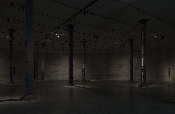 The Tanks, tate modern installation view