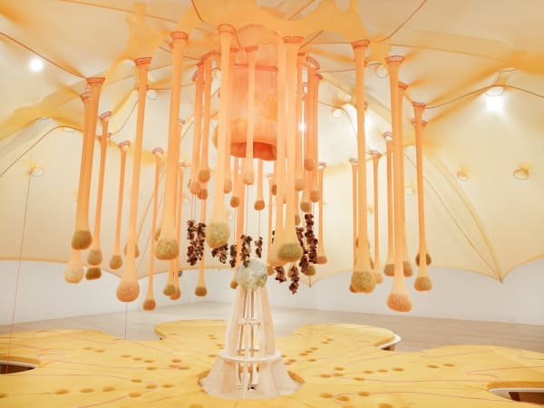 Ernesto Neto installation at the Aspen Art Museum