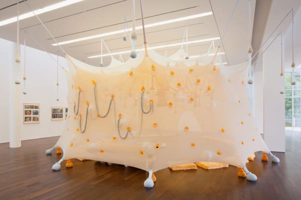 Ernesto neto installation, outside
