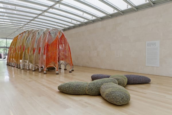 Ernesto Neto crochet structure