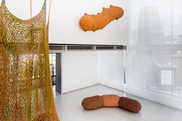 Ernesto Neto crochet hanging walkway