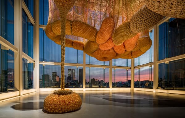 Ernesto Neto crochet hanging walkway