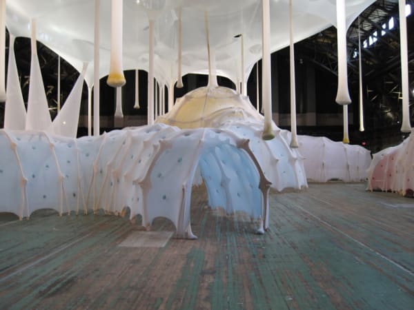 Ernesto Neto fabric sculptural form making tunnels