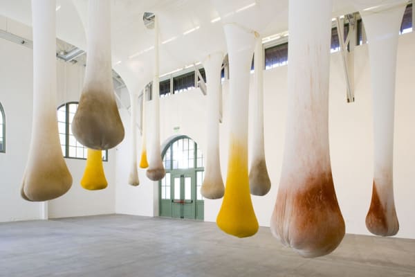 Ernesto Neto spices hanging from ceiling