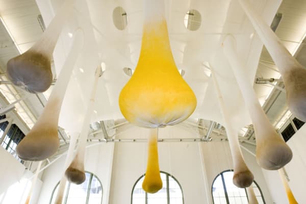 Ernesto Neto spices hanging from ceiling