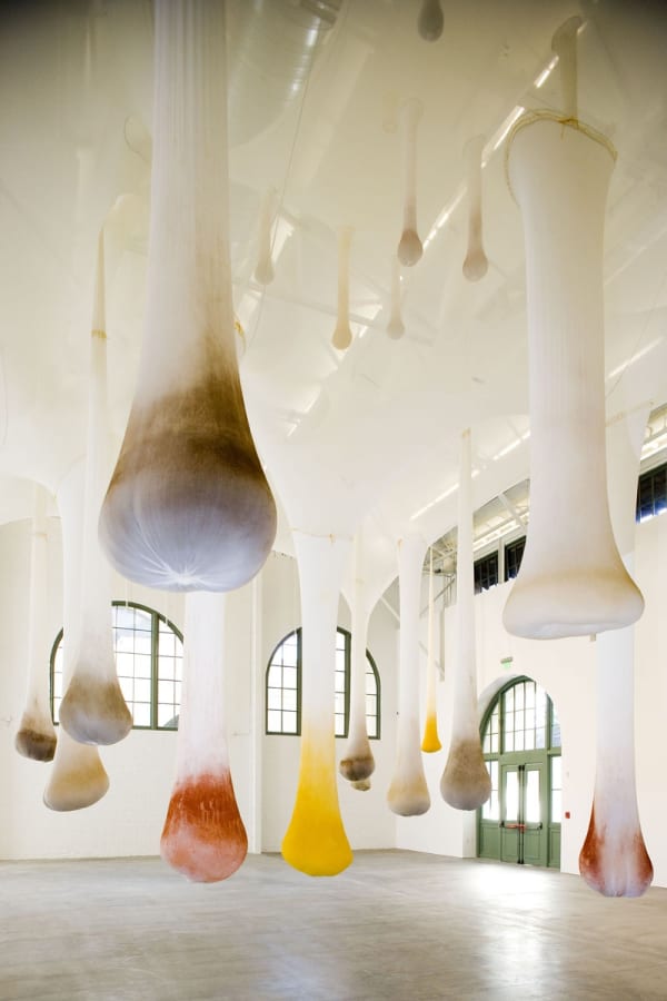 Ernesto Neto spices hanging from ceiling