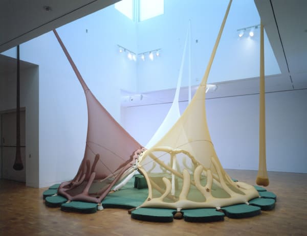Neto installation with hanging fabric and inside