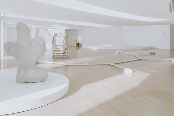 Installation view, Lyon Biennale