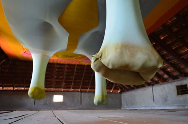 Ernesto Neto hanging fabric sculpture