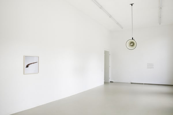 white speaker hanging from ceiling