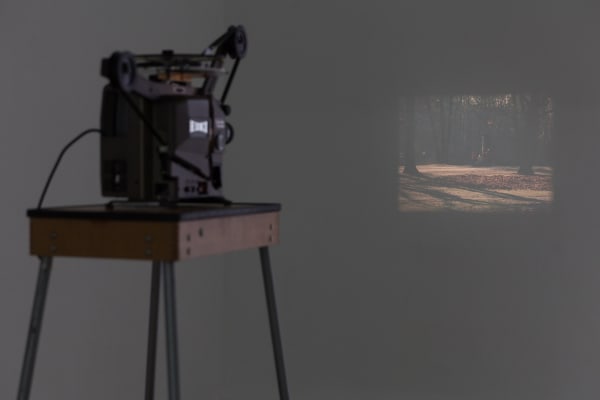 projected video installation