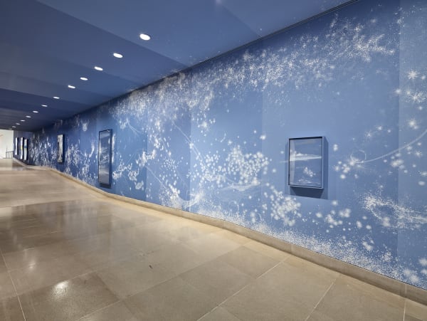 Sandra Cinto mural painting fading from dark blue to light blue