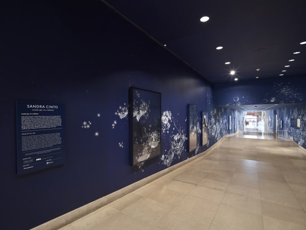 Sandra Cinto mural painting fading from dark blue to light blue
