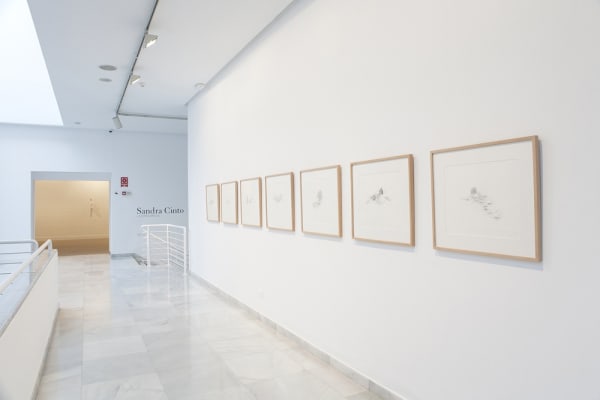 suite of drawings