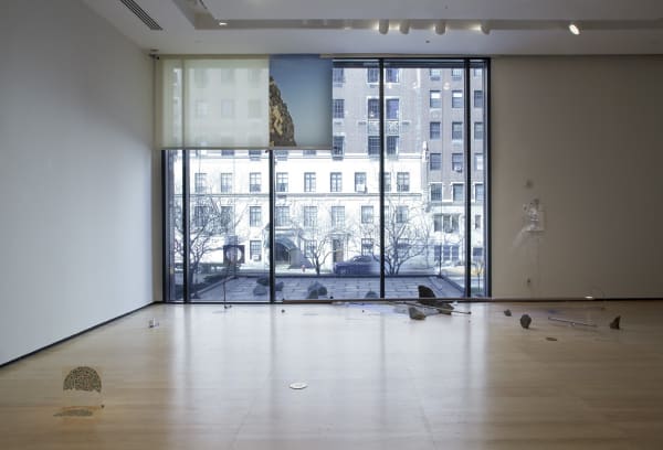 Image of an installation view at Asia Society