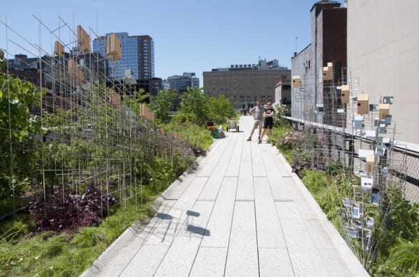 Image of a bird house sculpture on the highline