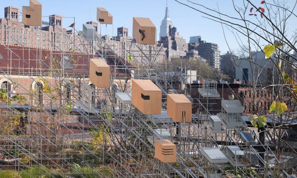 Image of a bird house sculpture on the highline