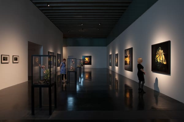 Image of Matt Collishaw photographs and sculptures
