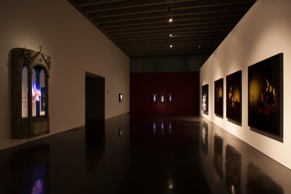 Image of Matt Collishaw photographs and sculptures