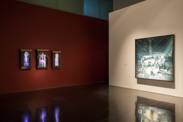 Image of Matt Collishaw photographs