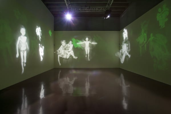 Image of Matt Collishaw installation / projection on walls