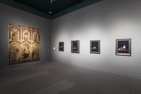 Image of Matt Collishaw photographs and sculptural relief