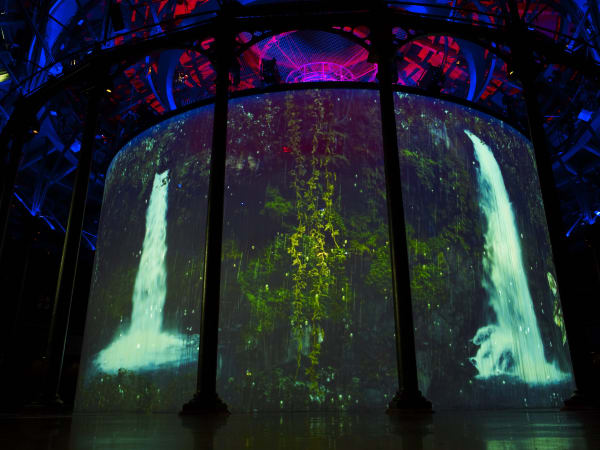 Image of Matt Collishaw video installation