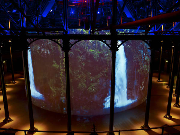 Image of Matt Collishaw video installation