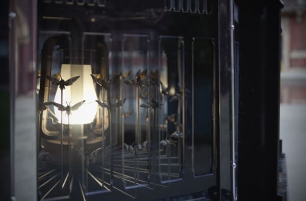 Image of Matt Collishaw outdoor lantern