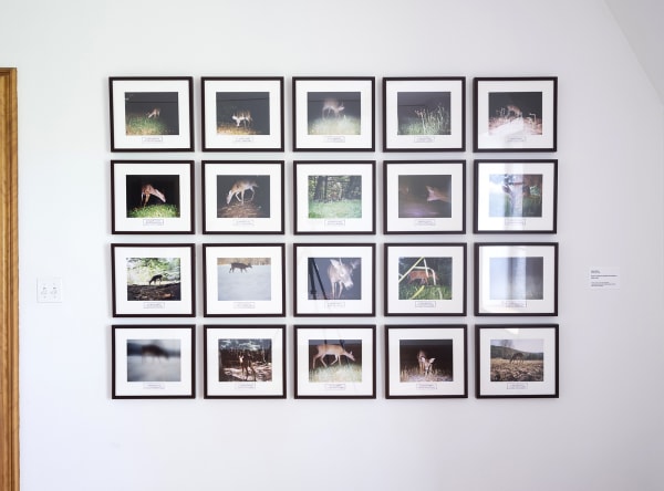 image of photo series in grid