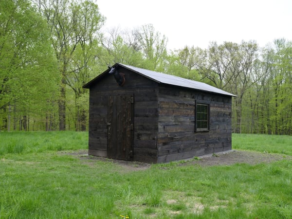 Image of Mark Dion follies at Storm King