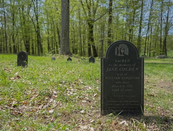 Image of Mark Dion follies at Storm King, graveyard