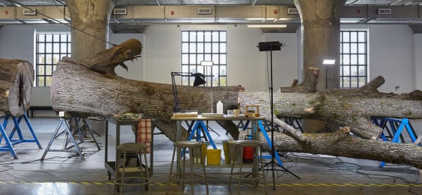 Image of a dead tree inside MOCA Toronto