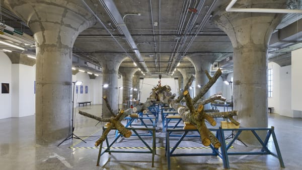 Image of a dead tree inside MOCA Toronto