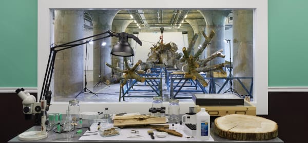 Image of a dead tree inside MOCA Toronto
