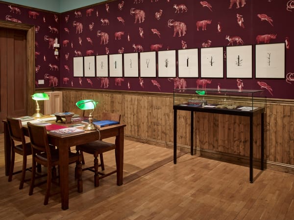 image of Mark Dion staged room installation