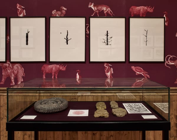 image of Mark Dion staged room installation