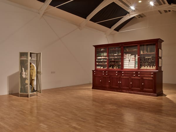 image of Mark Dion cabinet sculpture