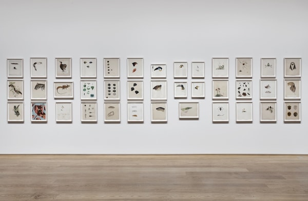 Image of installation at The Drawing Center
