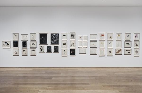 Image of installation at The Drawing Center