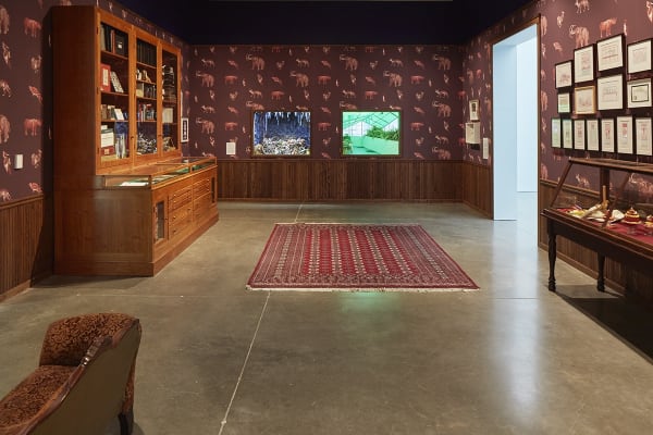 Image of Mark Dion sculptures at ICA Boston