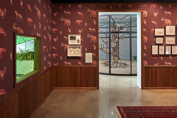 Image of Mark Dion sculptures at ICA Boston