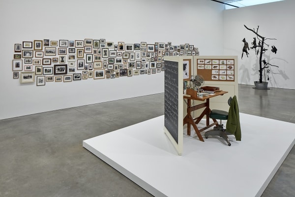Image of Mark Dion sculptures at ICA Boston