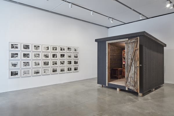 Image of Mark Dion sculptures at ICA Boston