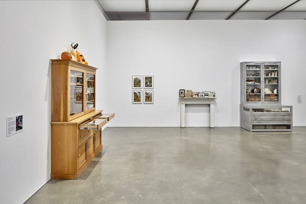 Image of Mark Dion sculptures at ICA Boston