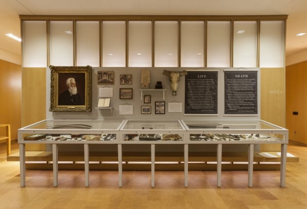 Image of Mark Dion exhibition installation view