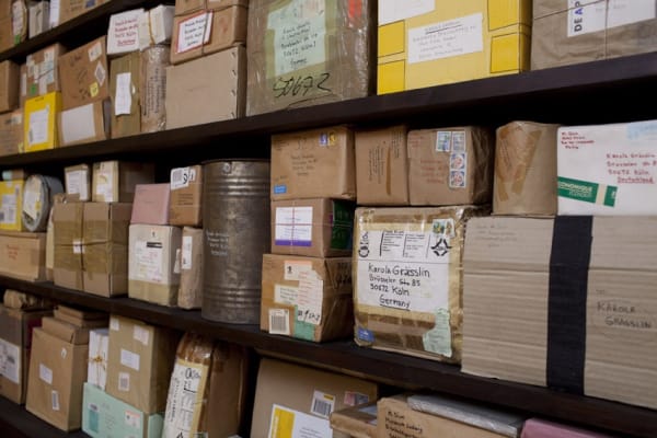 image of Mark Dion installation / cabinet full of boxes
